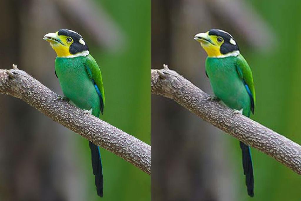 Eng jingalak qiz faqat doggy uslubi becerdin