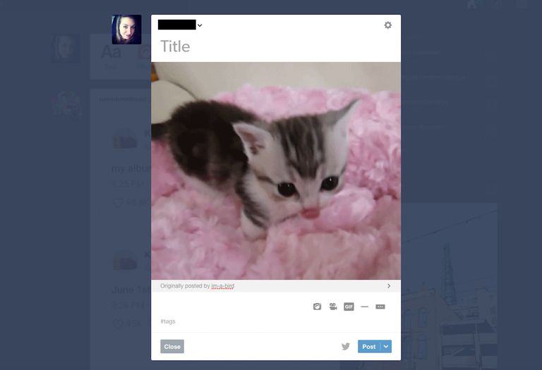ابدأ باستخدام محرك البحث Gif المدمج الجديد في Tumblr